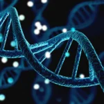Evolutionary Algorithm